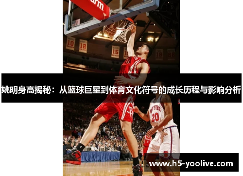 姚明身高揭秘：从篮球巨星到体育文化符号的成长历程与影响分析