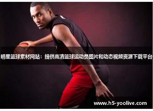 明星篮球素材网站：提供高清篮球运动员图片和动态视频资源下载平台
