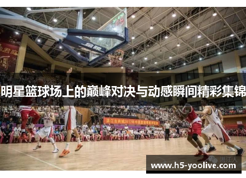 明星篮球场上的巅峰对决与动感瞬间精彩集锦