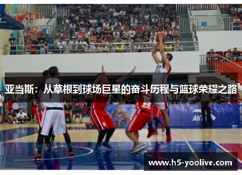 亚当斯：从草根到球场巨星的奋斗历程与篮球荣耀之路
