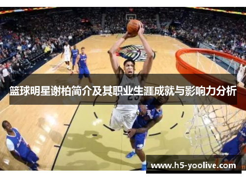 篮球明星谢柏简介及其职业生涯成就与影响力分析