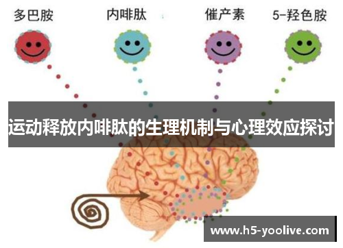 运动释放内啡肽的生理机制与心理效应探讨