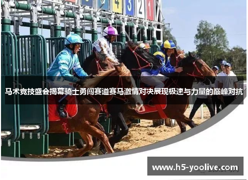 马术竞技盛会揭幕骑士勇闯赛道赛马激情对决展现极速与力量的巅峰对抗